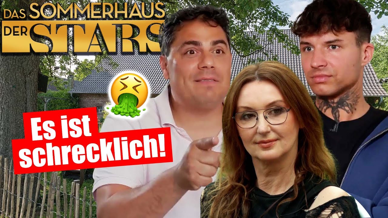 Sommerhaus 2025: ES IST SCHRECKLICH! (geil)