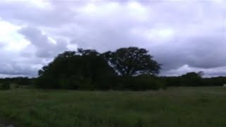 3772 County Road 136, Whitesboro, TX Presented by Daniel Harker.