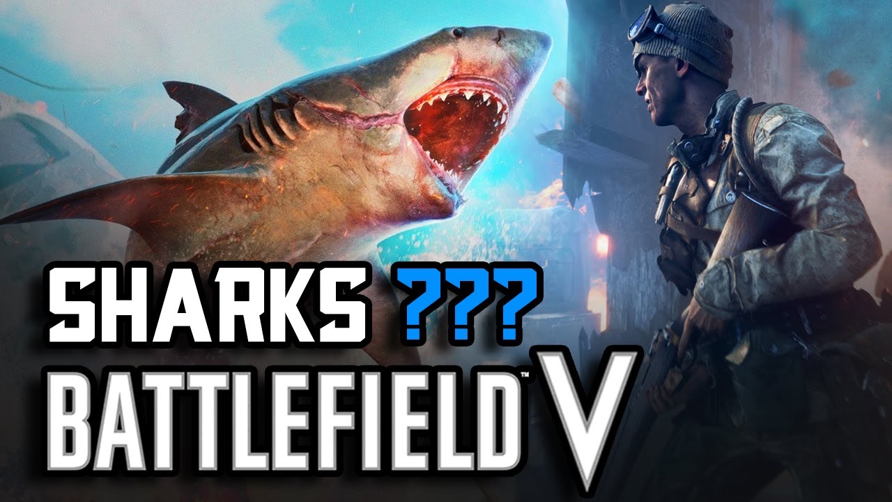 Sharks in BF5 ??? 