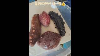 통영 자연산 해산물 로 꼭 드세요!/전복 뿔소라 참소라…