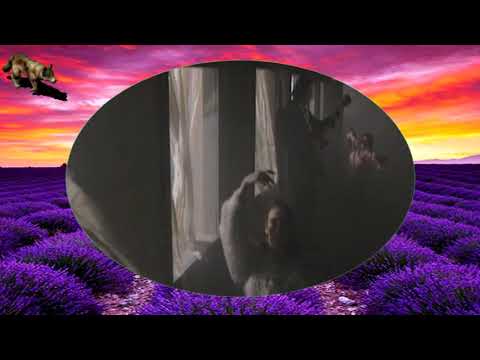 JOSIPA LISAC \u0026 INDEXI - O jednoj mladosti (live 1995.)