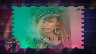 Ziynet Sali - Hoppalara / Remix : Dj Engin Dee Resimi