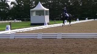 Vdc Autumn Series