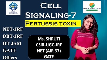 Pertussis Toxin Signaling Pathway | CSIR-UGC-JRF | DBT JRF | IIT JAM | GATE  | Other JRF