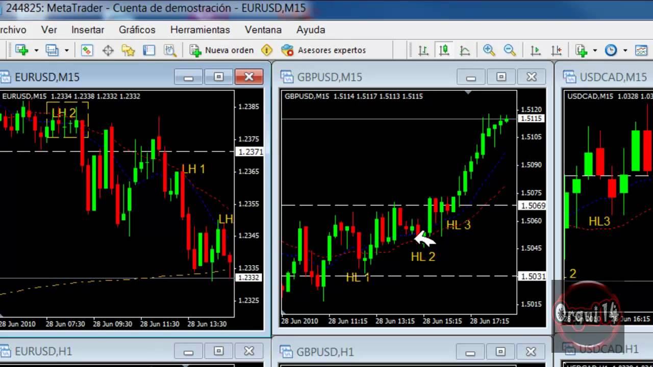 POSMERCADO 06-28-2010.mp4