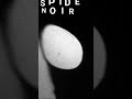 Spider noir