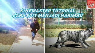 Cara Edit Video Menjadi Manusia Harimau |Kinemaster Tutorial Indonesia|