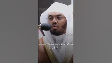 القارئ ياسر الدوسري