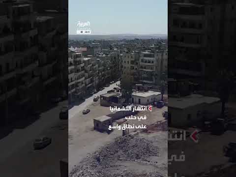 انتشار اللشمانيا في حلب على نطاق واسع ومناشدات من الأهالي للجهات المعنية بالتدخل العاجل