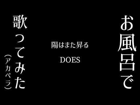 【お風呂で歌ってみた】陽はまた昇る / DOES【アカペラ】