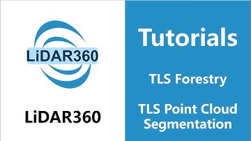 LiDAR360 (V7) - TLS Point Cloud Segmentation | TLS Forestry