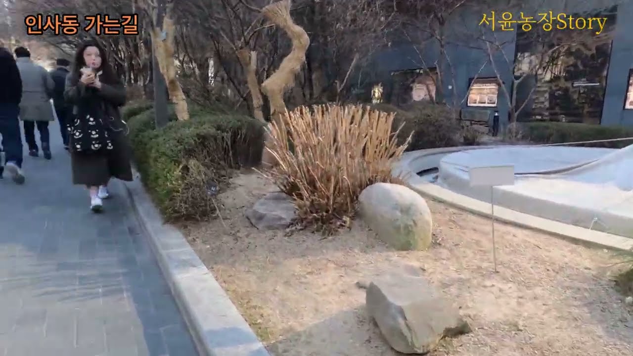 인사동 나들이 가는 길( 본문) 