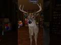 What Sound Does a Deer Make? #vrchat