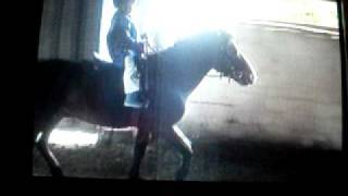 SDC10184.AVI