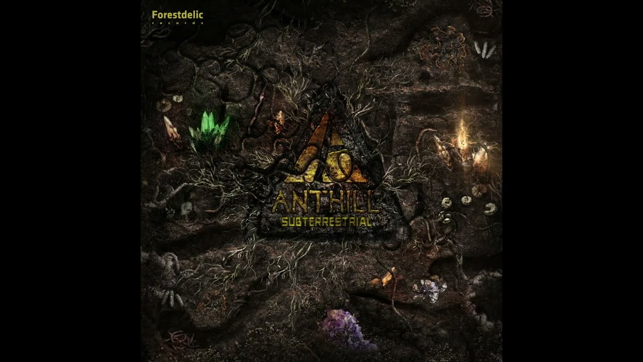 Watch Anthill - Focus Pokus on YouTube Watch Anthill - Focus Pokus on YouTube