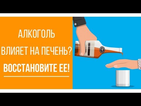 Печень после алкоголя. Как восстановить печень!