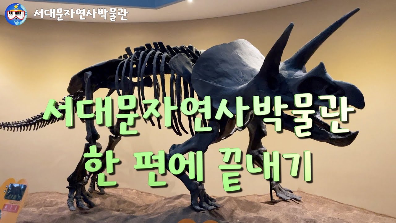 서대문자연사박물관 한 편으로 끝내기 (2022)