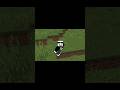 Bedrock Skeleton Is Gone #minecraft
