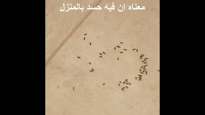 6 دلالات علي وجود النمل بالمنزل وايه علاقته بالحسد