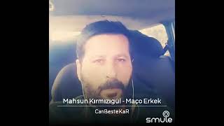 Maço Erkek Canbestekar