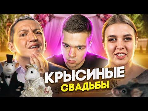 Видео: Четыре веселых финансовых факта о любви Люси