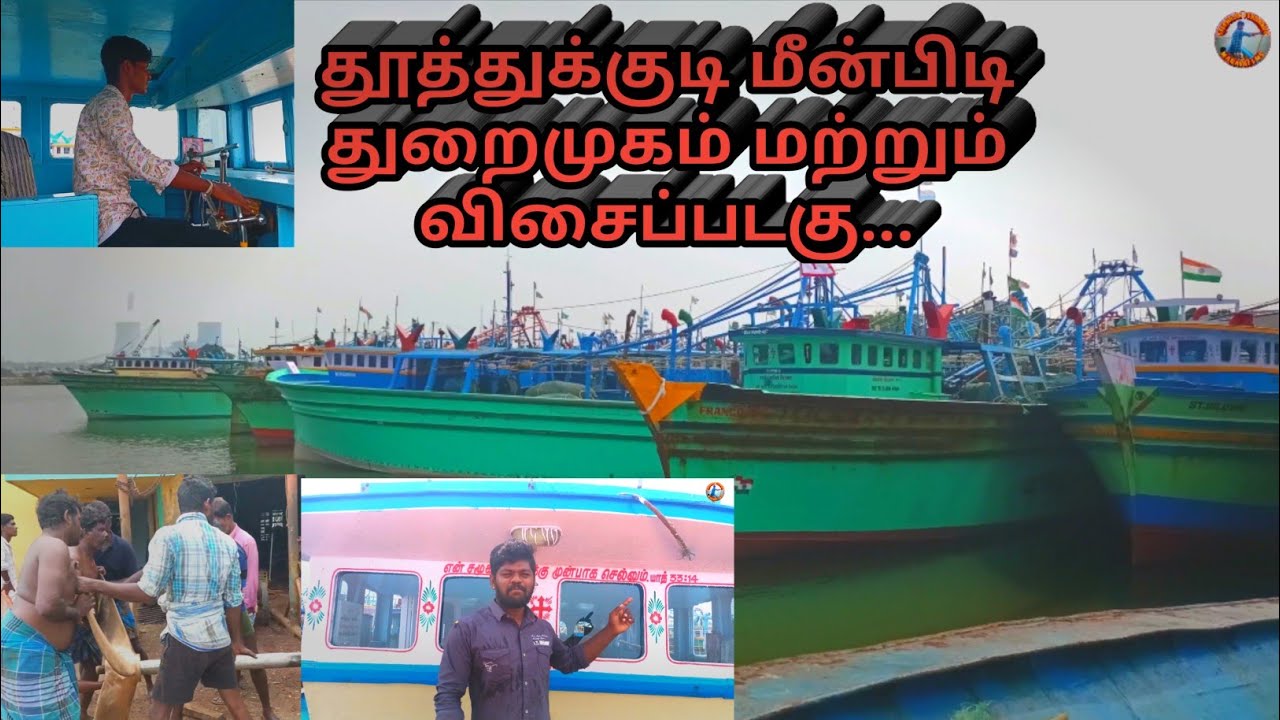 அருமையான தூத்துக்குடி மீன்பிடி துறைமுகம் 🌊🦈 Thoothukudi Fishing harbour விசைப்படகு #Boat #video 🛥️🚤