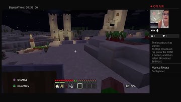 Minecraft The Traveling Trader