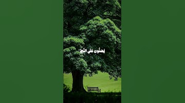 { إِنَّ اللَّهَ وَمَلَائِكَتَهُ يُصَلُّونَ عَلَى النَّبِيِّ } سورة الاحزاب  القارئ  محمود علي البنا