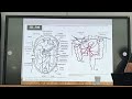 Cirugia Anatomia quirurgica de colon 20251017