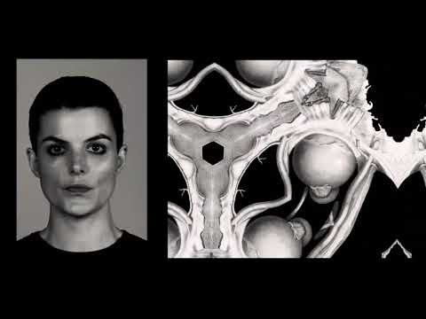 Karin Park - Tiger Dreams (Official Music Video)