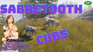 What's up with Sabretooth Cubs?! | Conan Exiles Sorcery Ep47