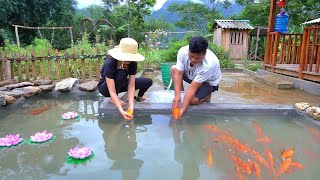 Happiness Journey : The first fish are released into the tank  Work together happily