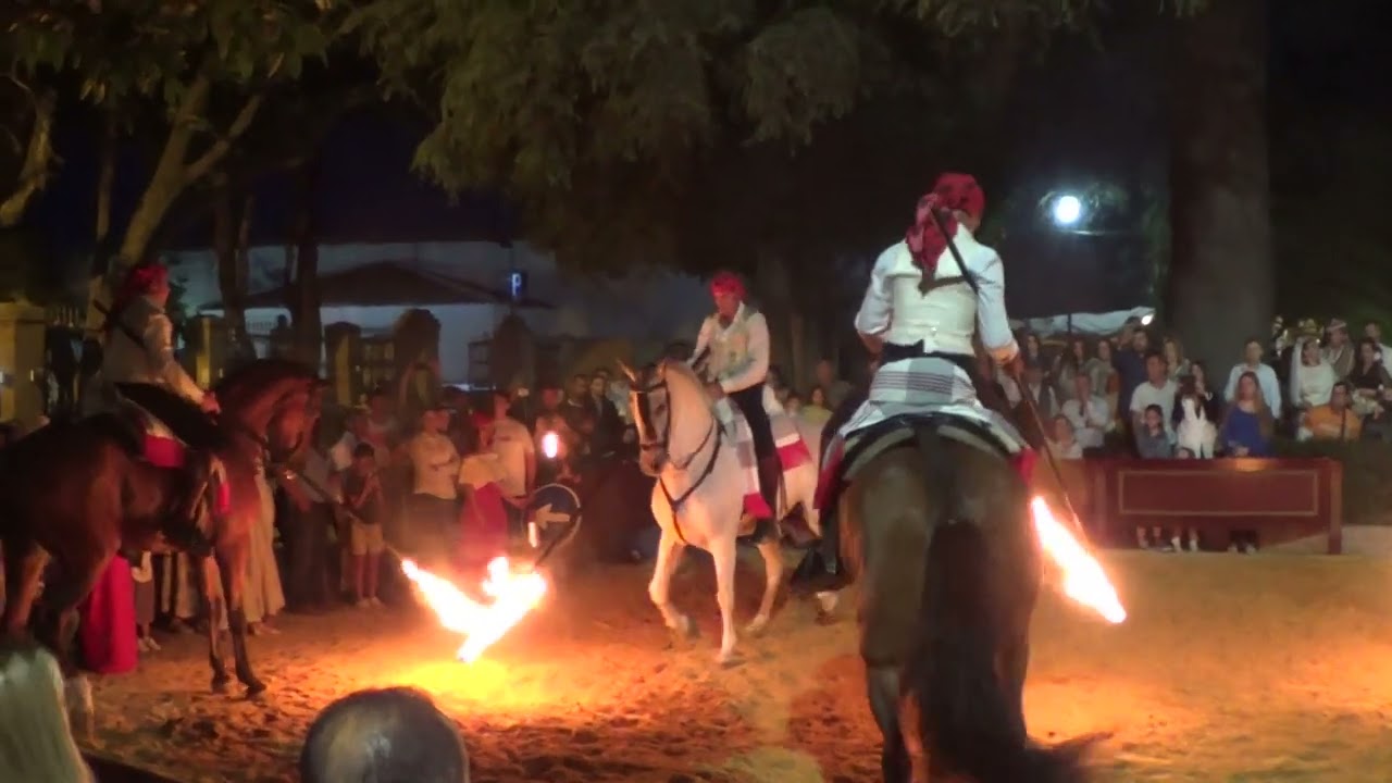 CABALLOS EN RONDA ROMANTICA 023  Yeguada de David Chaves