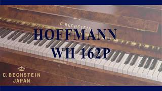 Hoffmann WH162P 曲名 シューベルト 即興曲D935-2 - YouTube