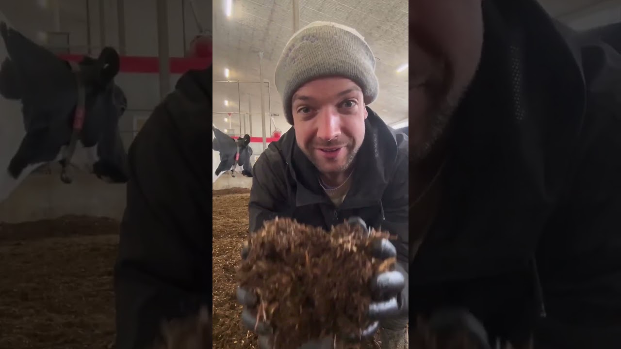 We have lots of compost, why bother with johnson su? 