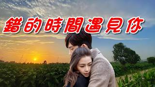 錯的時間遇見你 - 王依依