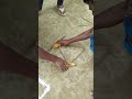 Funny 1 bit corn challenge 😆😳