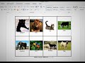 How to insert images into word document table Microsoft word