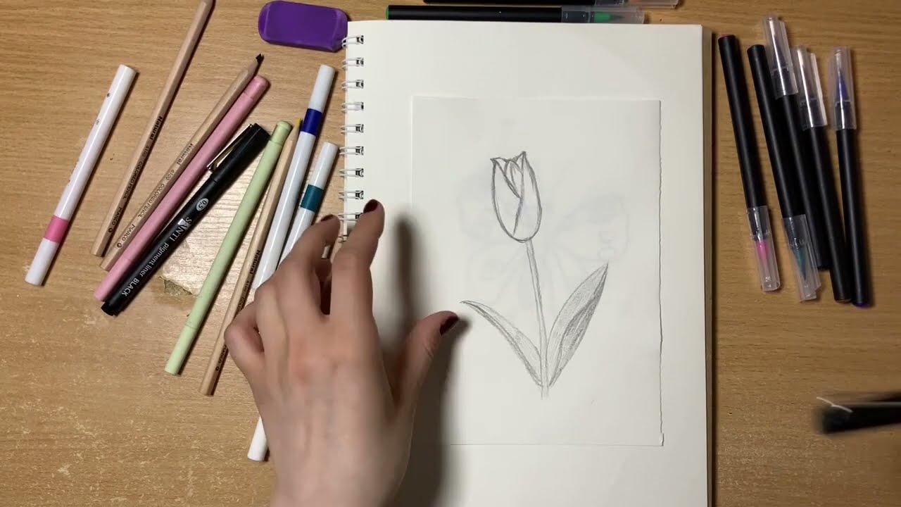 How to Draw a Tulip | Easy Step-by-Step Tutorial for Kids and Beginners