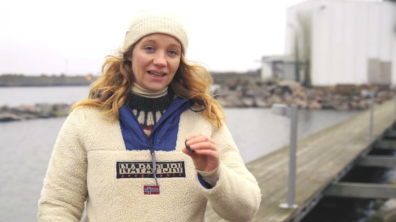 Bæredygtige blåmuslinger på Bornholm