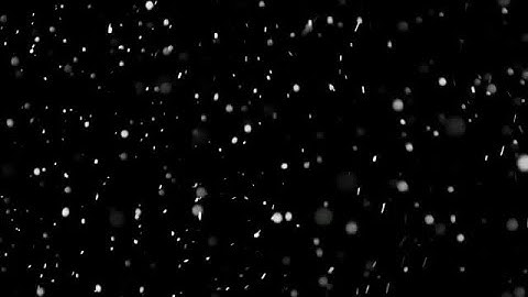 Falling Snowflakes Stock Video