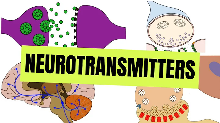 Neurotransmitters