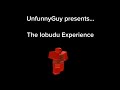 The Iobudu Experience