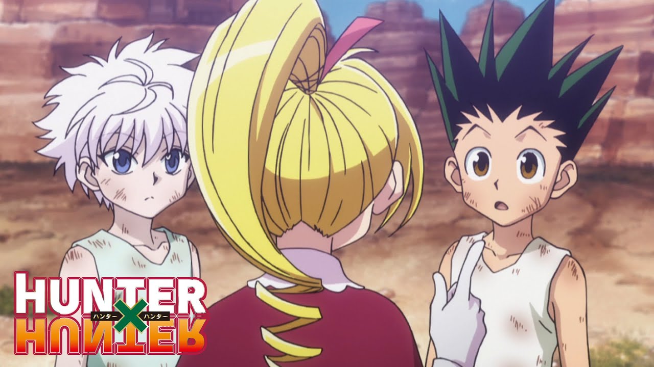 como assistir hunter x hunter 2011 dublado｜Pesquisa do TikTok