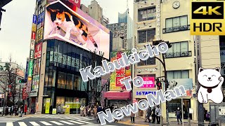 Day Walk From Kabukicho To Newoman Shinjuku , 歌舞伎町 , 4K