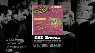 Rammstein - Wilder Wein Keyboard Coz Strings