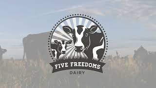 Five Freedoms