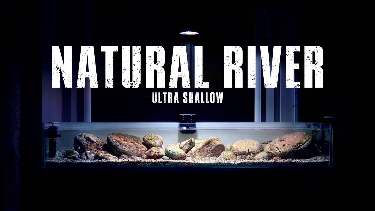 HIGH FLOW SHALLOW RIVER STYLE AQUASCAPE