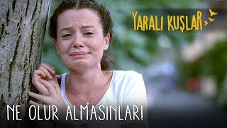 Onu Benden Almasınlar | Yaralı Kuşlar 72. Bölüm
