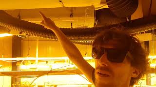 Down the back door, episode 1 #cannabis #coffeeshops #amsterdam #growlocation #cannabissecrets